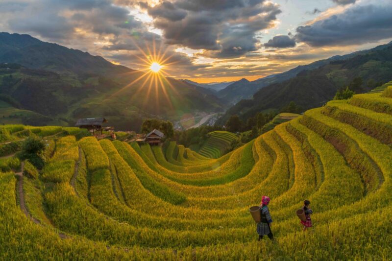 The golden season of  Mu Cang Chai