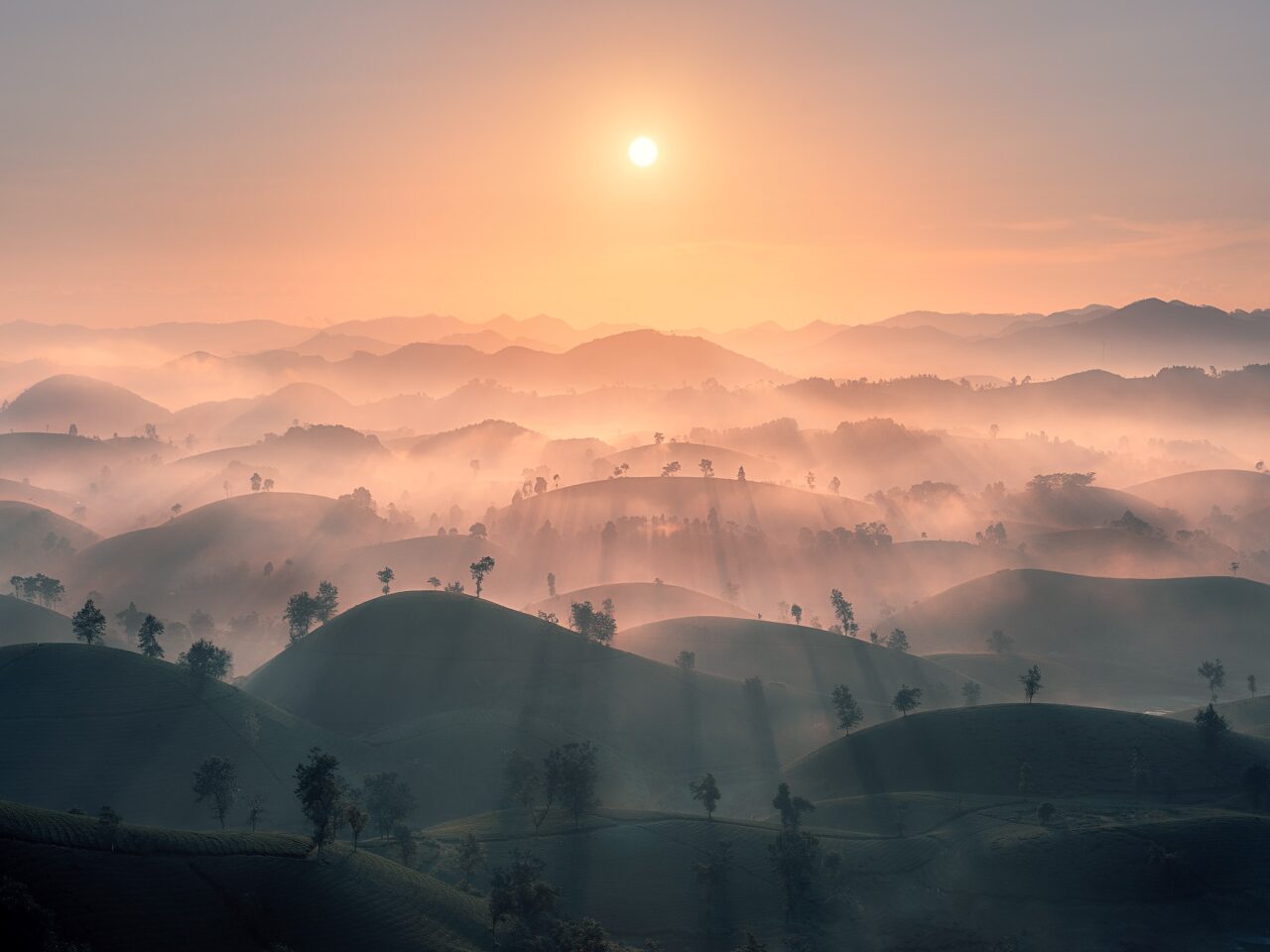 Sunrise Long Coc