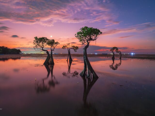 The Mysterious Beauty of Indonesia