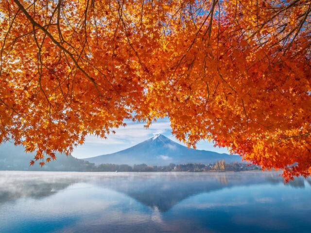 Japan in Autumn