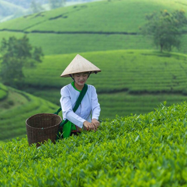 https://vietnamphototravel.com/wp-content/uploads/2026/05/Muong-ethnic-1-640x640.jpeg