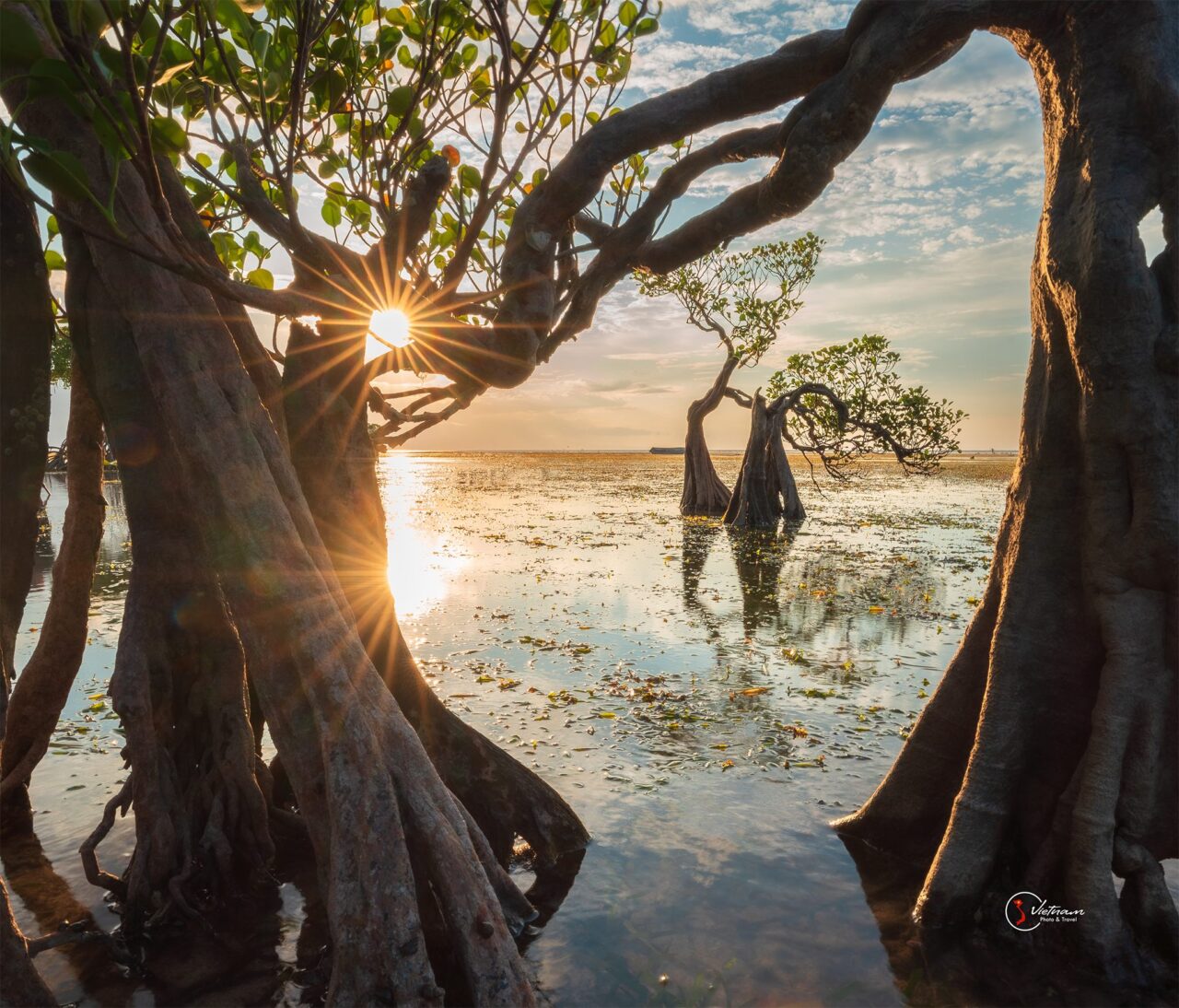 Sunset sumba
